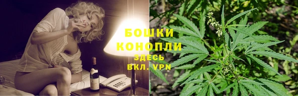 a pvp Пересвет