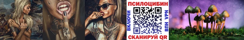 Псилоцибиновые грибы Cubensis  Абинск 